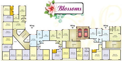 Blossom
